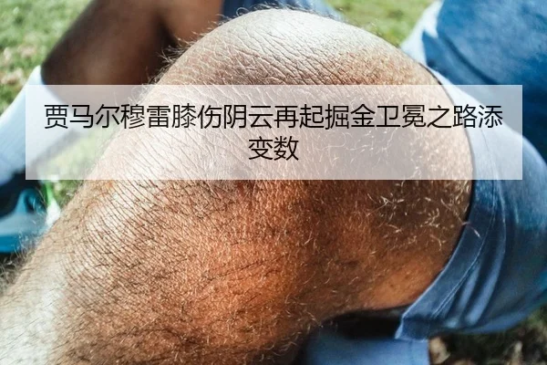 贾马尔穆雷膝伤阴云再起掘金卫冕之路添变数