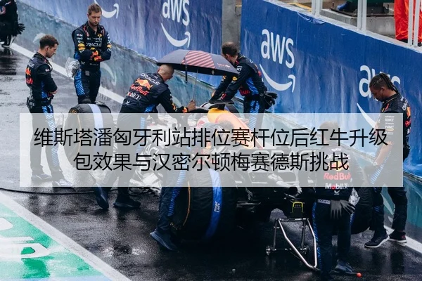 维斯塔潘匈牙利站排位赛杆位后红牛升级包效果与汉密尔顿梅赛德斯挑战